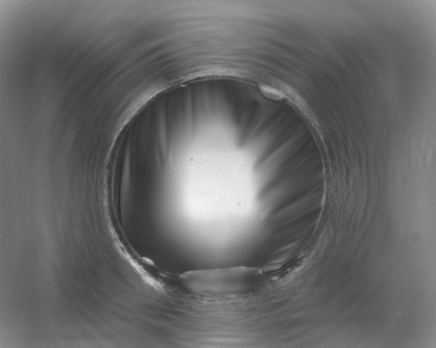 X0000054460898200508121934