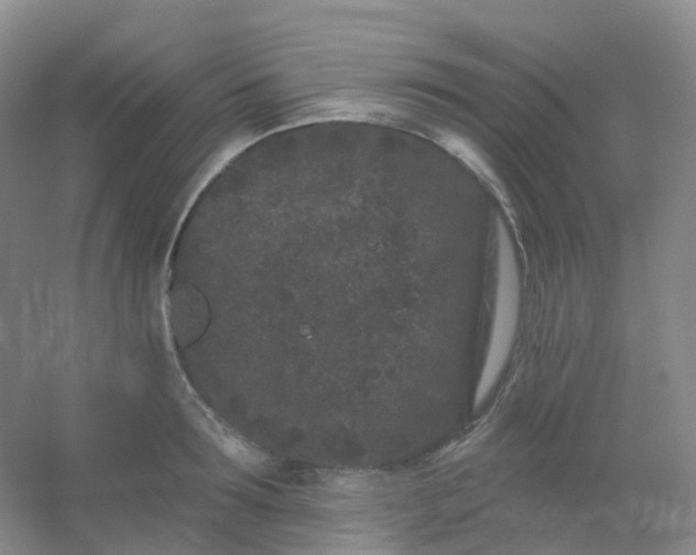 X0000054460899200508121934