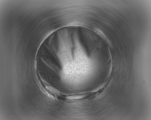 X0000054460900200508121934