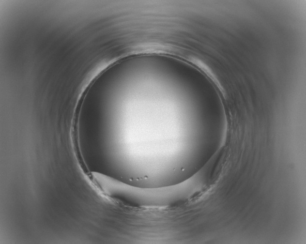 X0000054460901200508121934