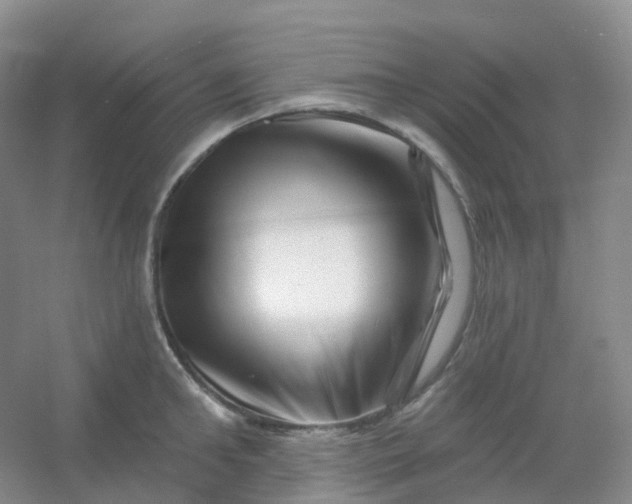 X0000054460902200508121934