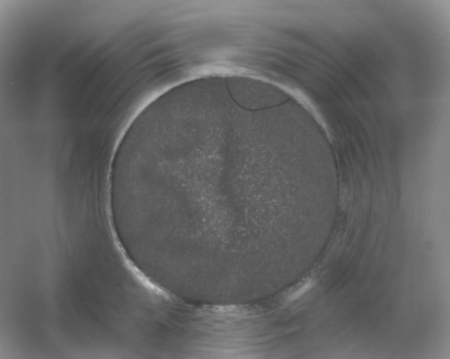 X0000054460903200508121934