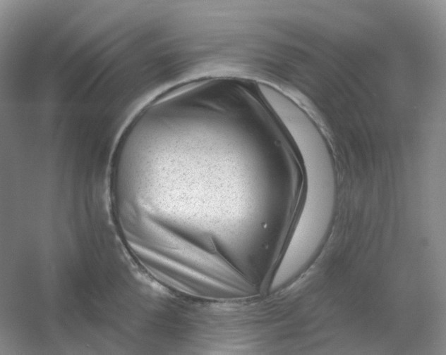 X0000054460904200508121934