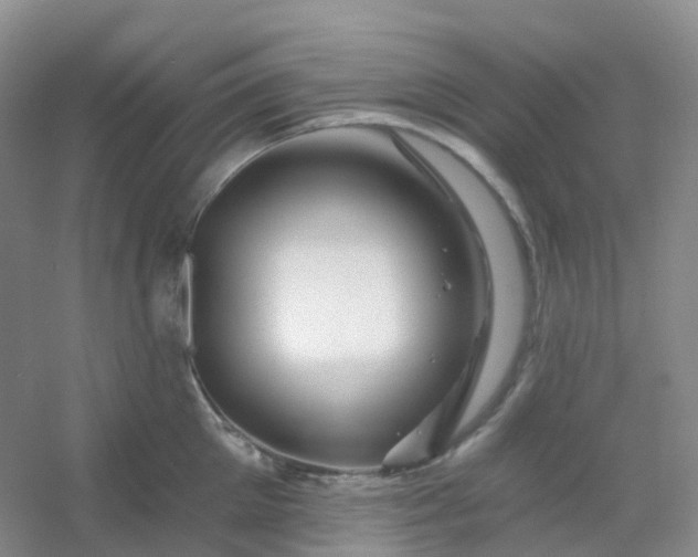 X0000054460905200508121934