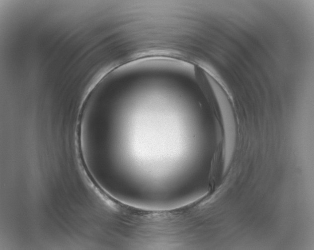 X0000054460906200508121934