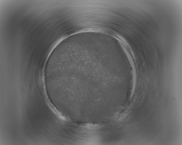 X0000054460907200508121934