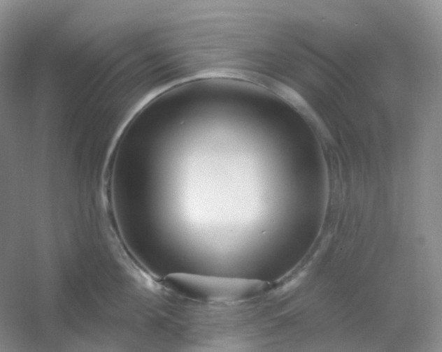 X0000054460908200508121934