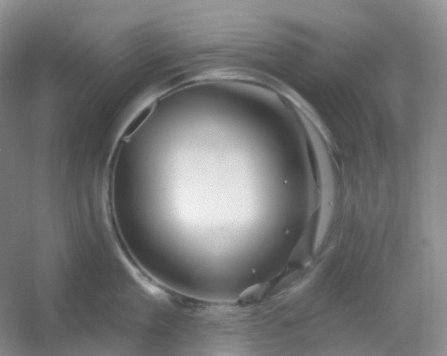 X0000054460909200508121934