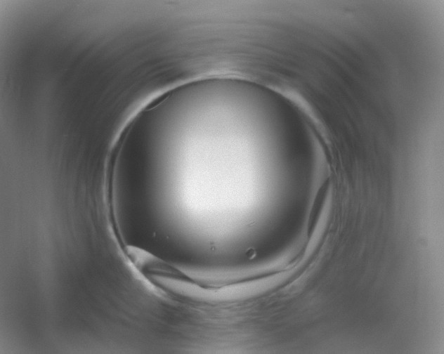 X0000054460910200508121934