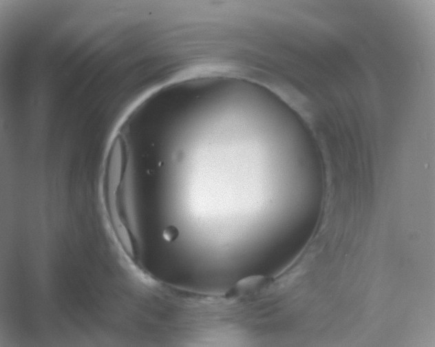 X0000054460912200508121934