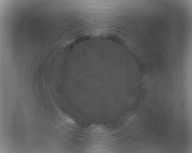 X0000054460913200508121933