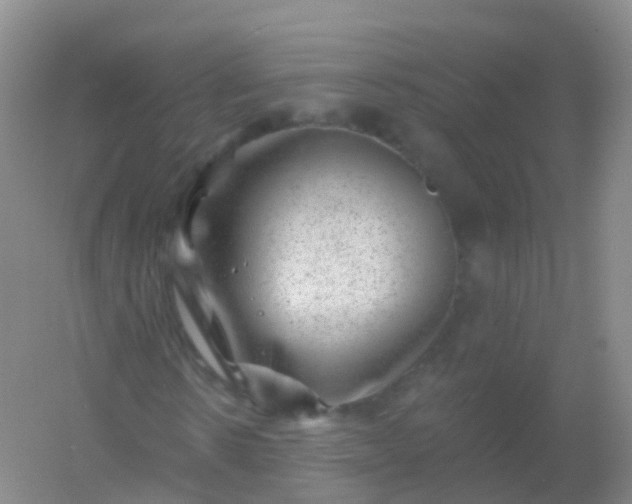 X0000054460914200508121933