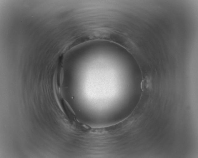 X0000054460915200508121933