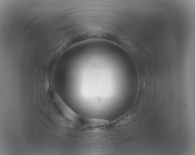 X0000054460916200508121933