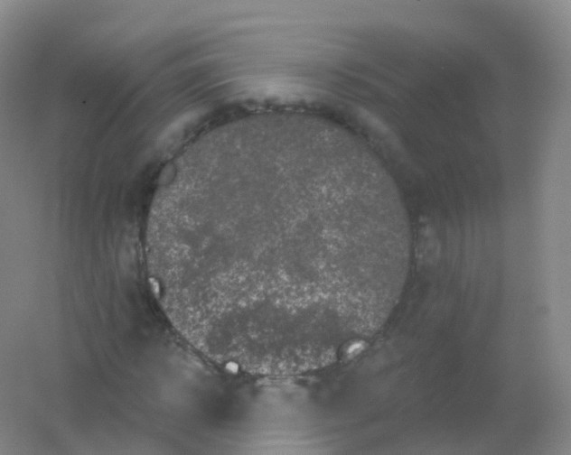 X0000054460918200508121933