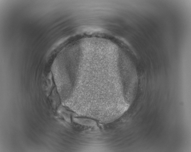 X0000054460919200508121933