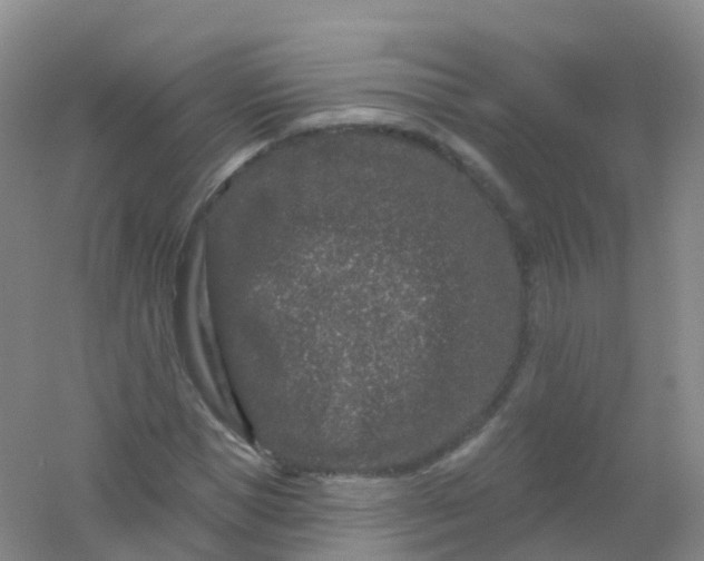 X0000054460921200508121933