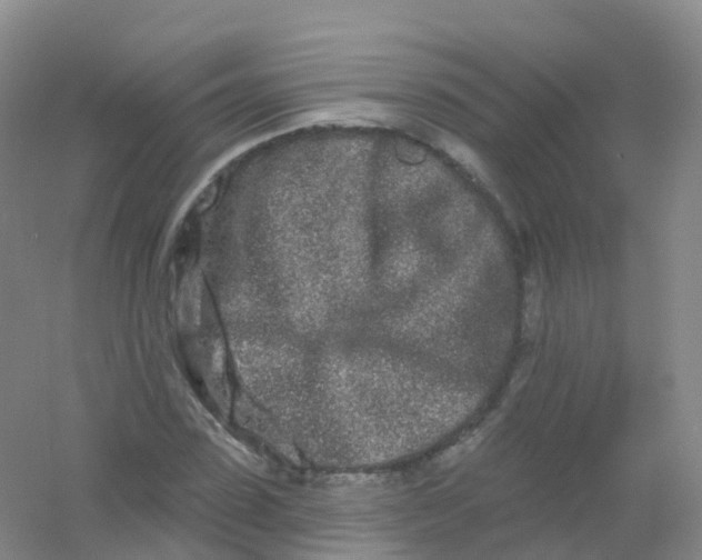 X0000054460923200508121933