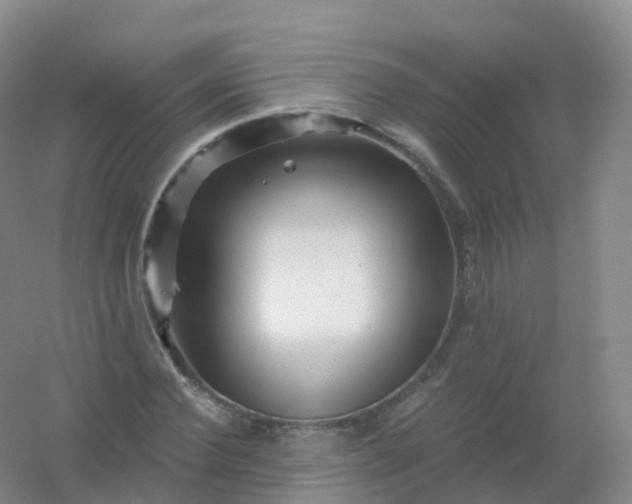 X0000054460924200508121933