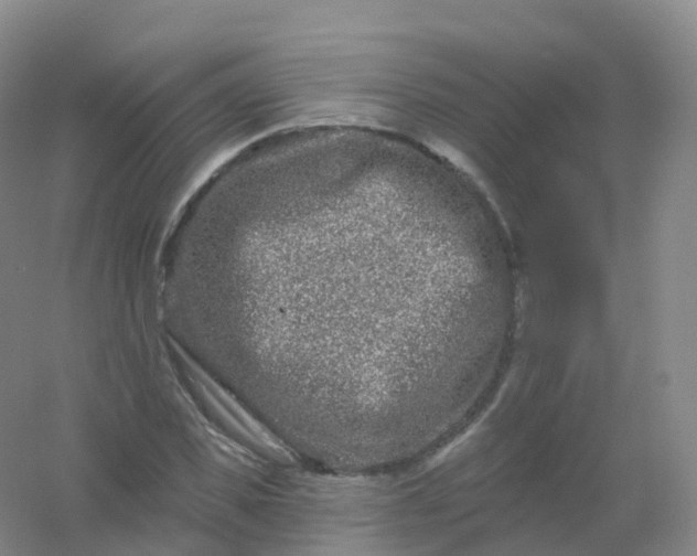 X0000054460925200508121933