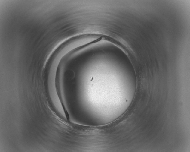 X0000054460926200508121933