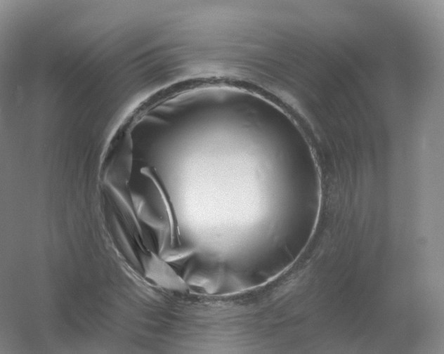 X0000054460927200508121933