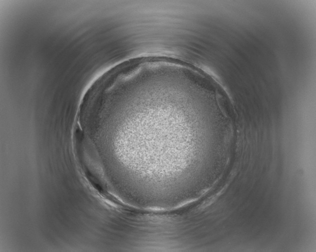 X0000054460928200508121933