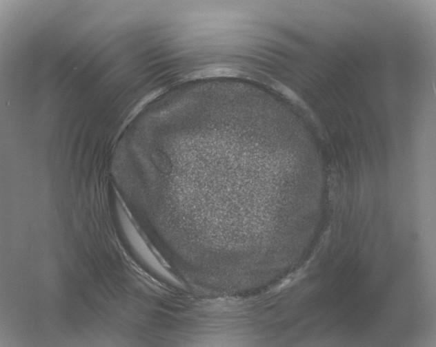 X0000054460929200508121933