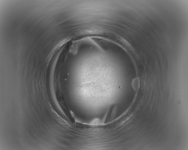 X0000054460930200508121933