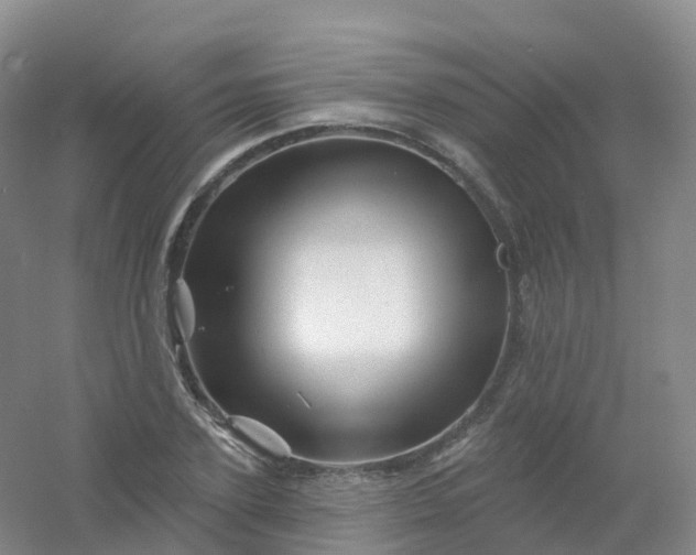 X0000054460931200508121933