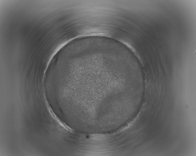 X0000054460933200508121933