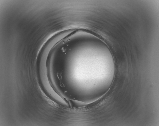 X0000054460934200508121933