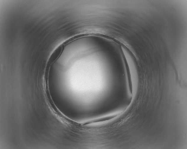 X0000054460936200508121933