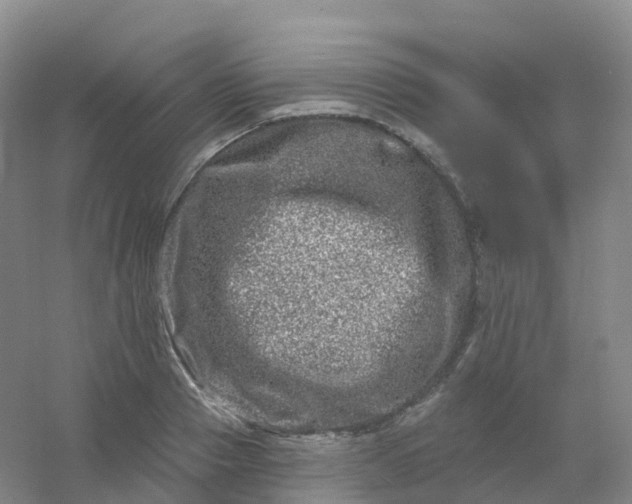 X0000054460937200508121933