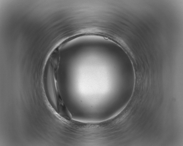 X0000054460939200508121933