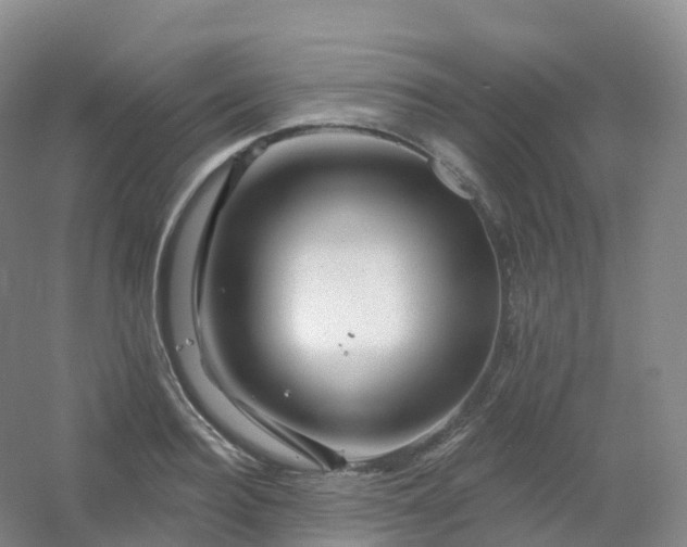 X0000054460940200508121933