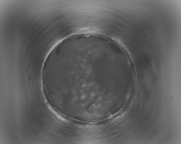 X0000054460941200508121933