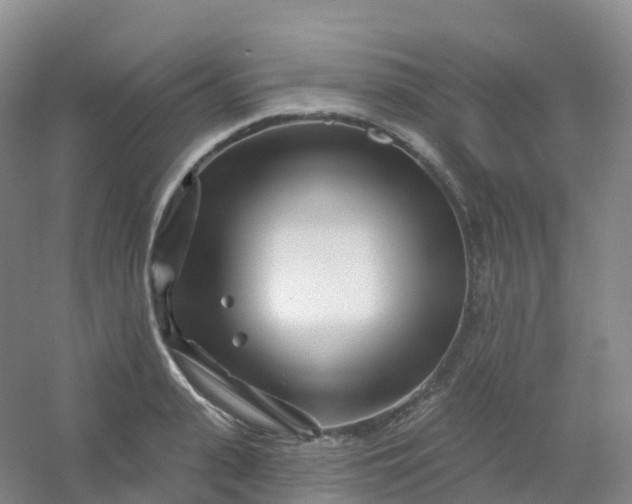 X0000054460943200508121933