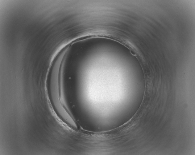 X0000054460944200508121933