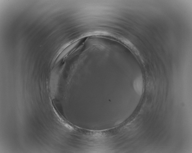 X0000054460945200508121933