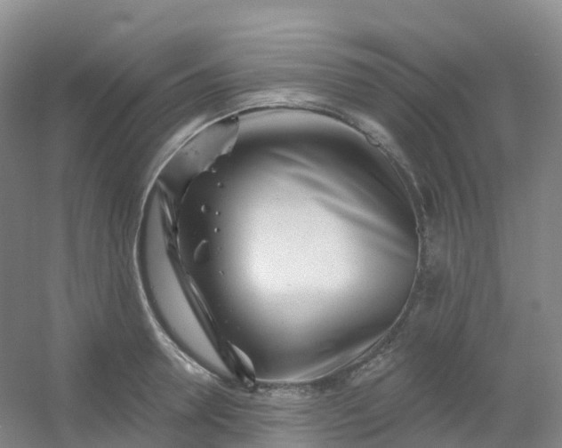 X0000054460946200508121933