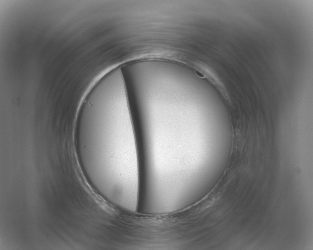 X0000054460948200508121934