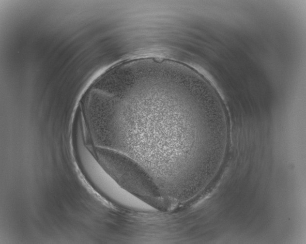 X0000054460949200508121934