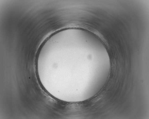 X0000054460950200508121934