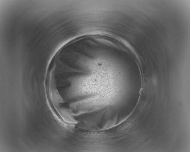 X0000054460951200508121934