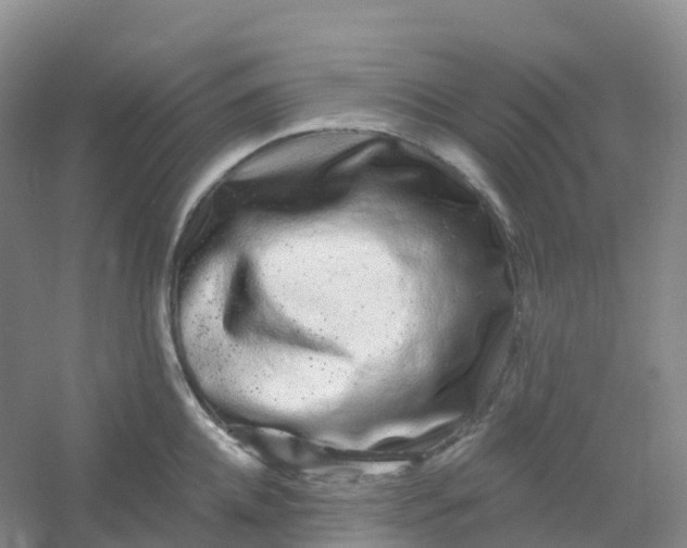 X0000054460952200508121934