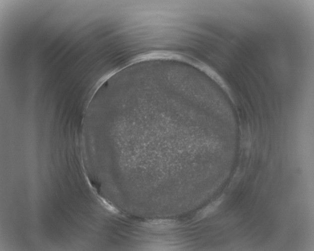 X0000054460953200508121934