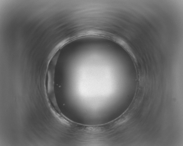 X0000054460954200508121934