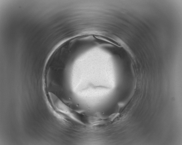 X0000054460955200508121934