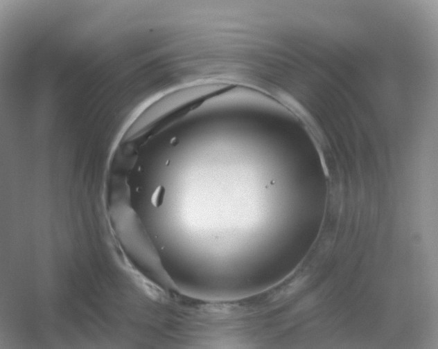 X0000054460956200508121934